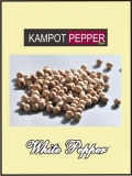 Kampot Pfeffer Weiss 100g